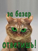 №55, Полина Колесниченко, Ачинск №55, Полина Колесниченко, Ачинск