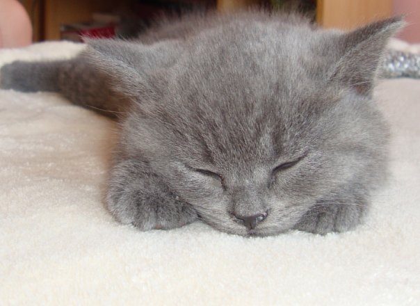 №118, Кирилл Фролов, Москва №118, Кирилл Фролов, Москва