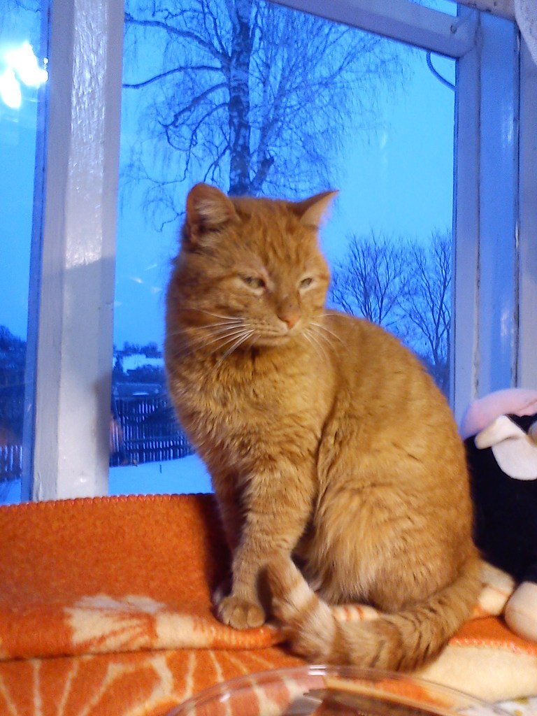 Алексей Шанауров | Калуга