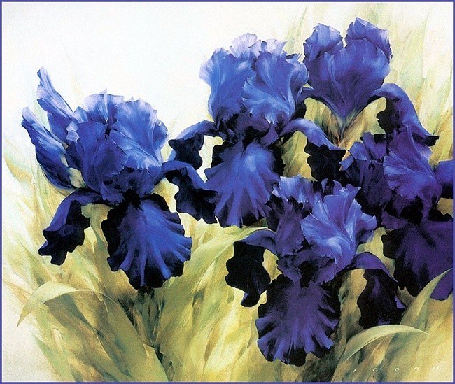 Аюна Батодоржиева Orchid | Улан-Удэ