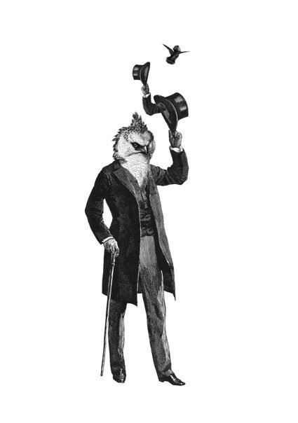 Дмитрий Гамарник | Харьков