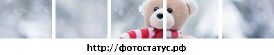 Фотография Яна Шпеньович