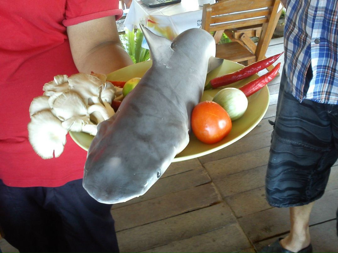 Елена Гранкина | Красногорск