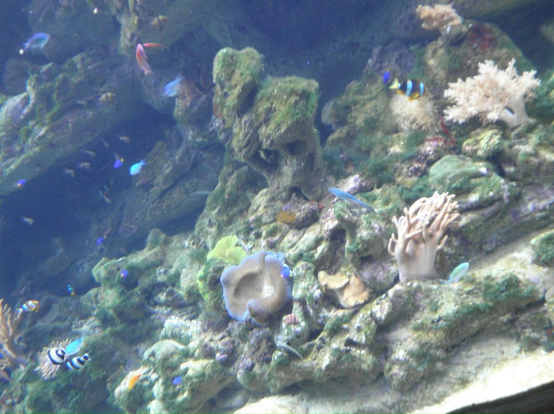 Настюша Мосина | Москва