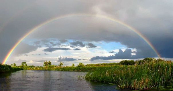 №118, Сергей Матюшин, 52 года, Моршанск №118, Сергей Матюшин, 52 года, Моршанск