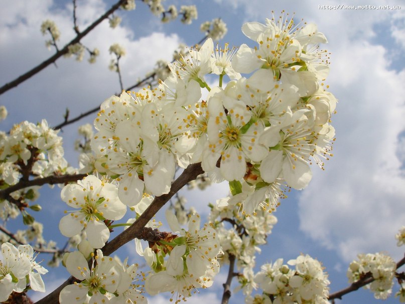 Мария Калиниченко | Краснодар