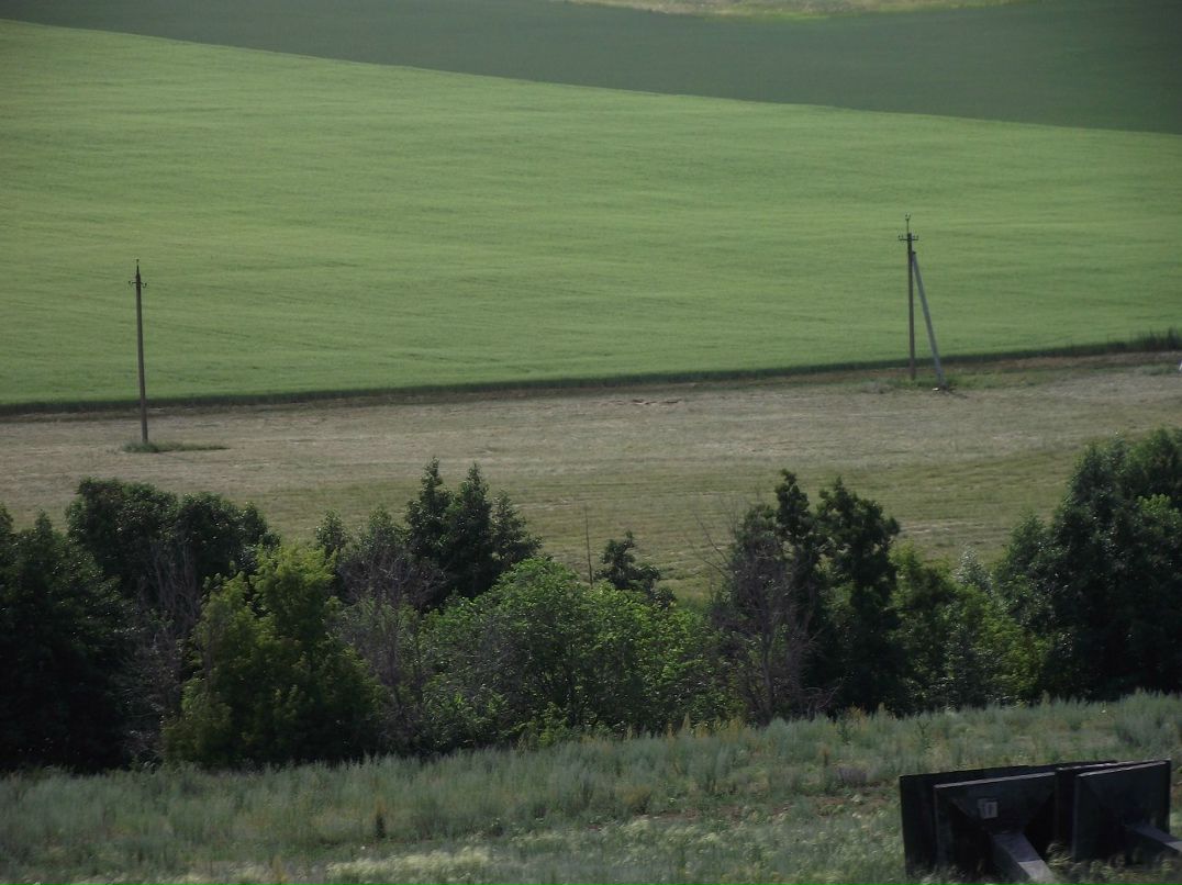 Елена Угольникова | Оренбург