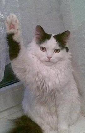 Андрей Алексеевич | 