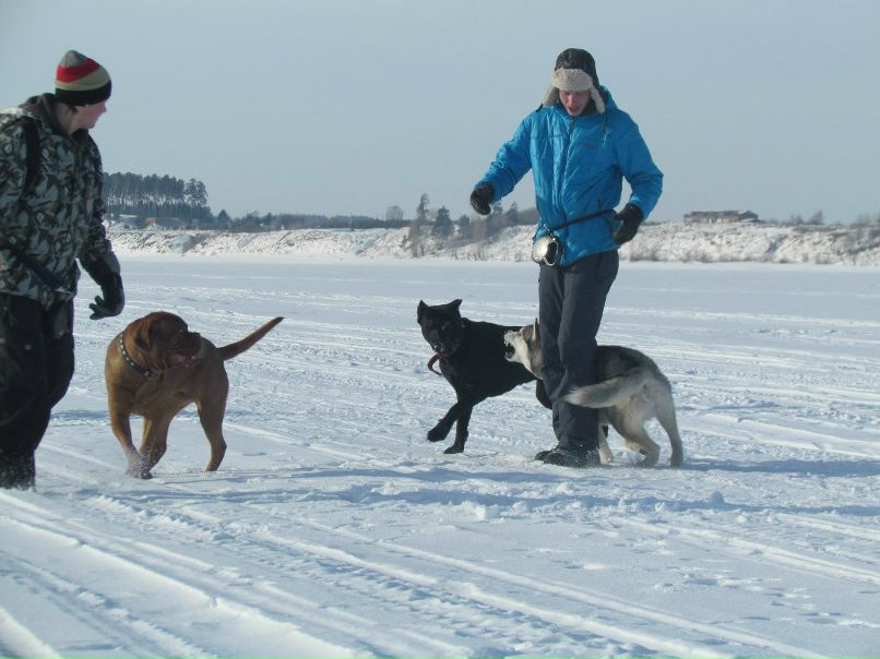Алексей Пепеляев | Краснокамск