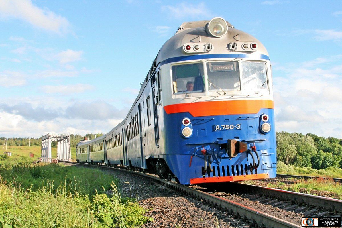 Санёк Комаров | 