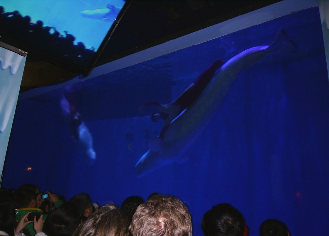 Сергей Пономарев ˙·٠✈ | Новосибирск