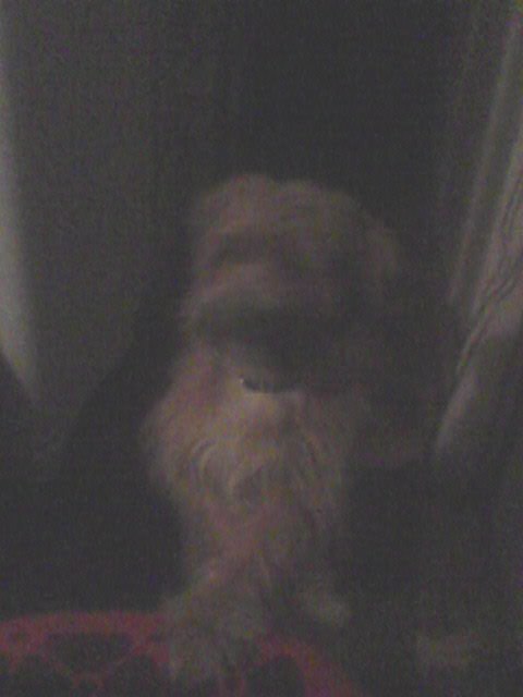 Дарья Климова | Осьмино