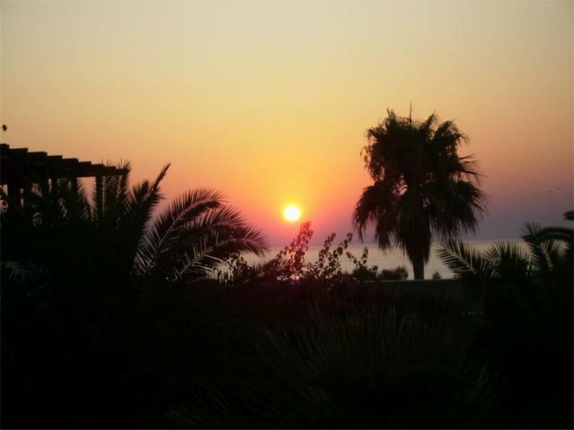 Александр Данилов Linkoln*(0^0)* | Санкт-Петербург