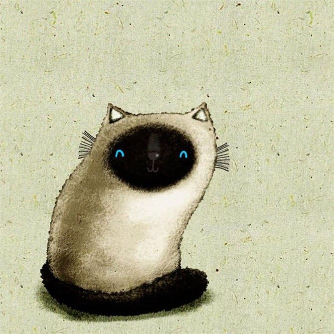 Катюша Чудина | 