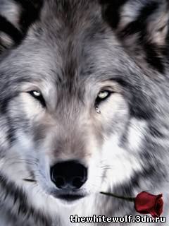 Виктор Никифоров Александрович | Санкт-Петербург