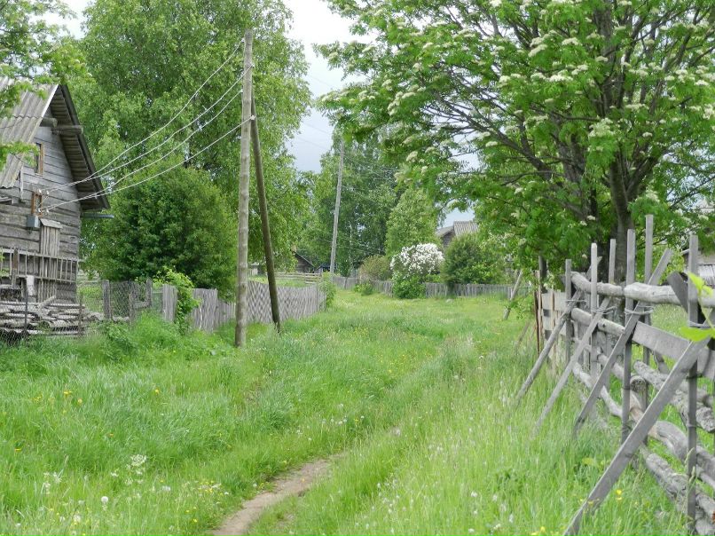 Юра Киркин | Кичменгский Городок