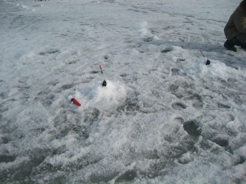 Леша Юткин | Санкт-Петербург