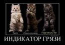 №7 Ольга : профиль, фото, статус - ВКонтакте №7 Ольга : профиль, фото, статус - ВКонтакте
