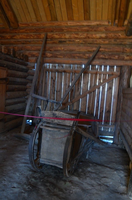 Марина Яркова | Пермь