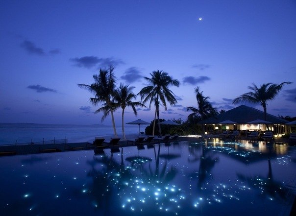 Андрей Чеховски | Красноярск