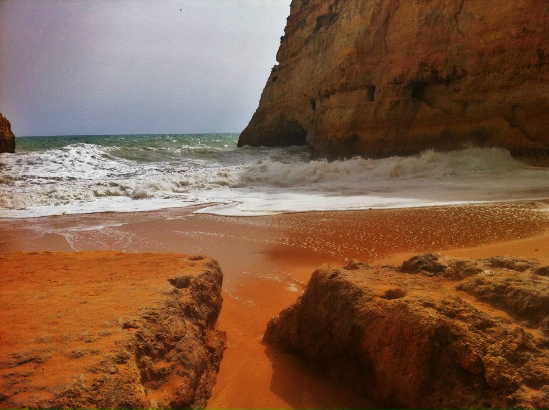 Наталья Дмитриева | Санкт-Петербург