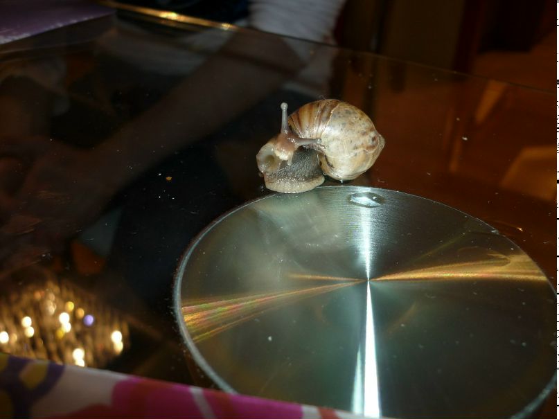 Лилия Фазлуллина | Казань