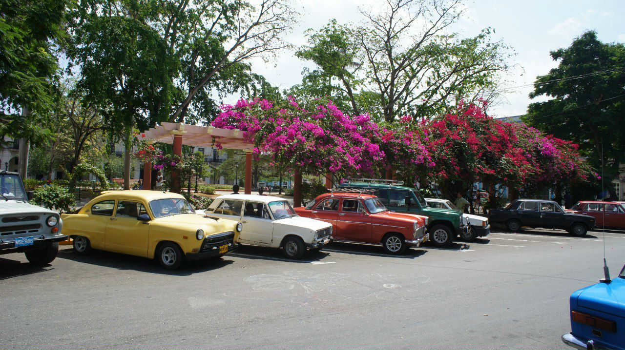 Александра Лузина | Новосибирск