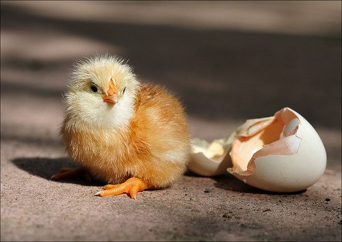 Елена Смирнова | Москва