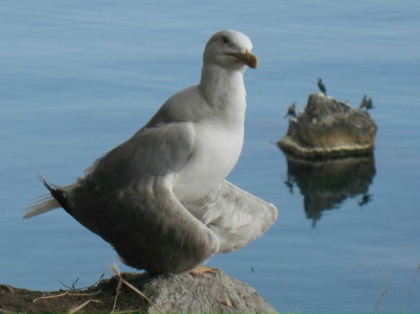 №23, Виталий Островский, 02.01, Харьков №23, Виталий Островский, 02.01, Харьков