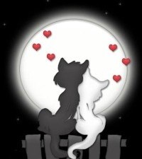 Елена Щербина | 