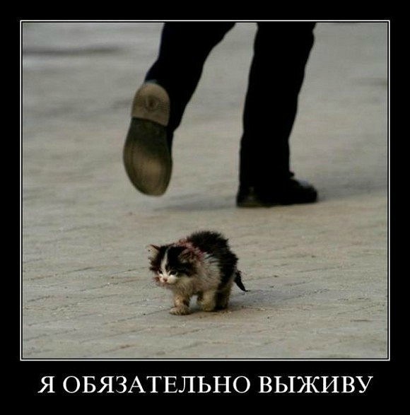 Нурсултан Маханов | Алматы