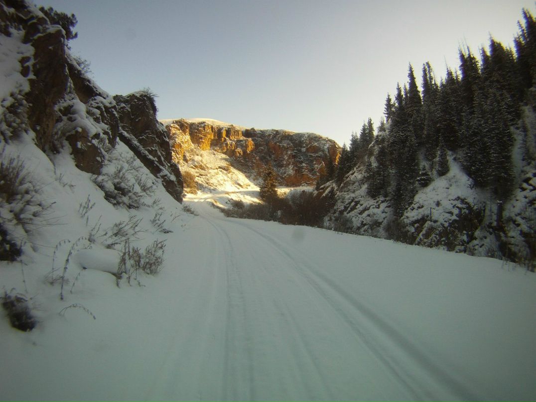 Павел Шамаков | Есик