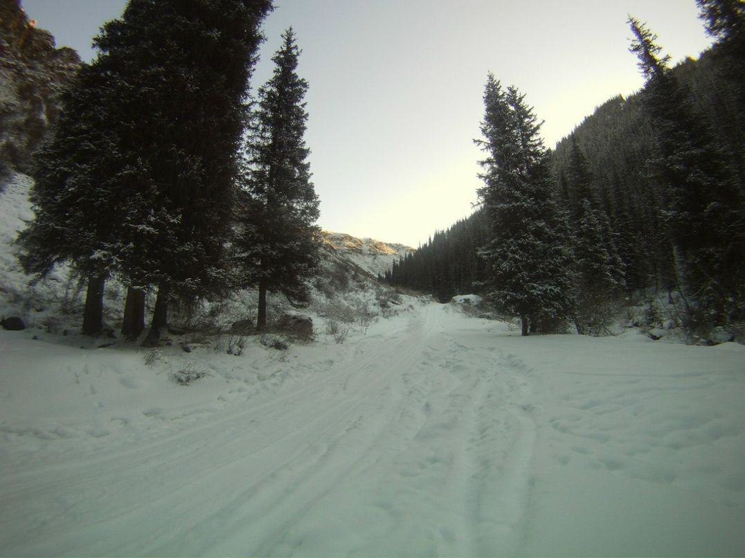 Павел Шамаков | Есик