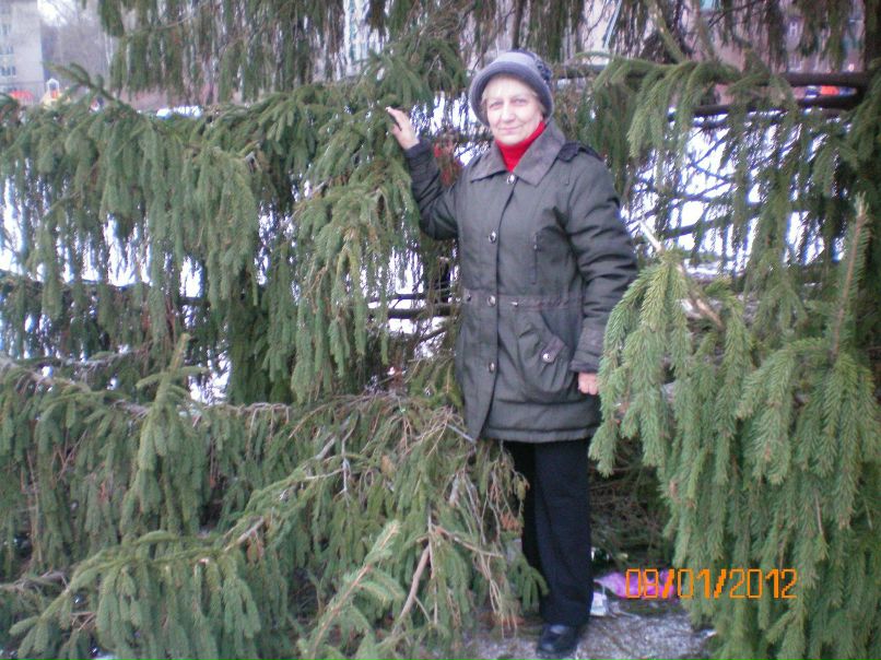 Сергей Павлов | Боровичи
