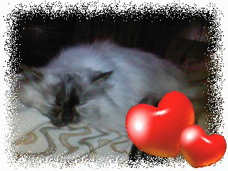 Анастасия Кличко | Новосибирск