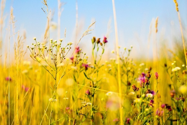 №109, Елена Смирнова, 59 лет, Набережные Челны, Россия №109, Елена Смирнова, 59 лет, Набережные Челны, Россия