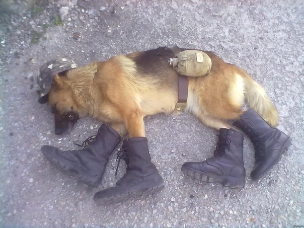 Олег Кравчук Юрьевич | 