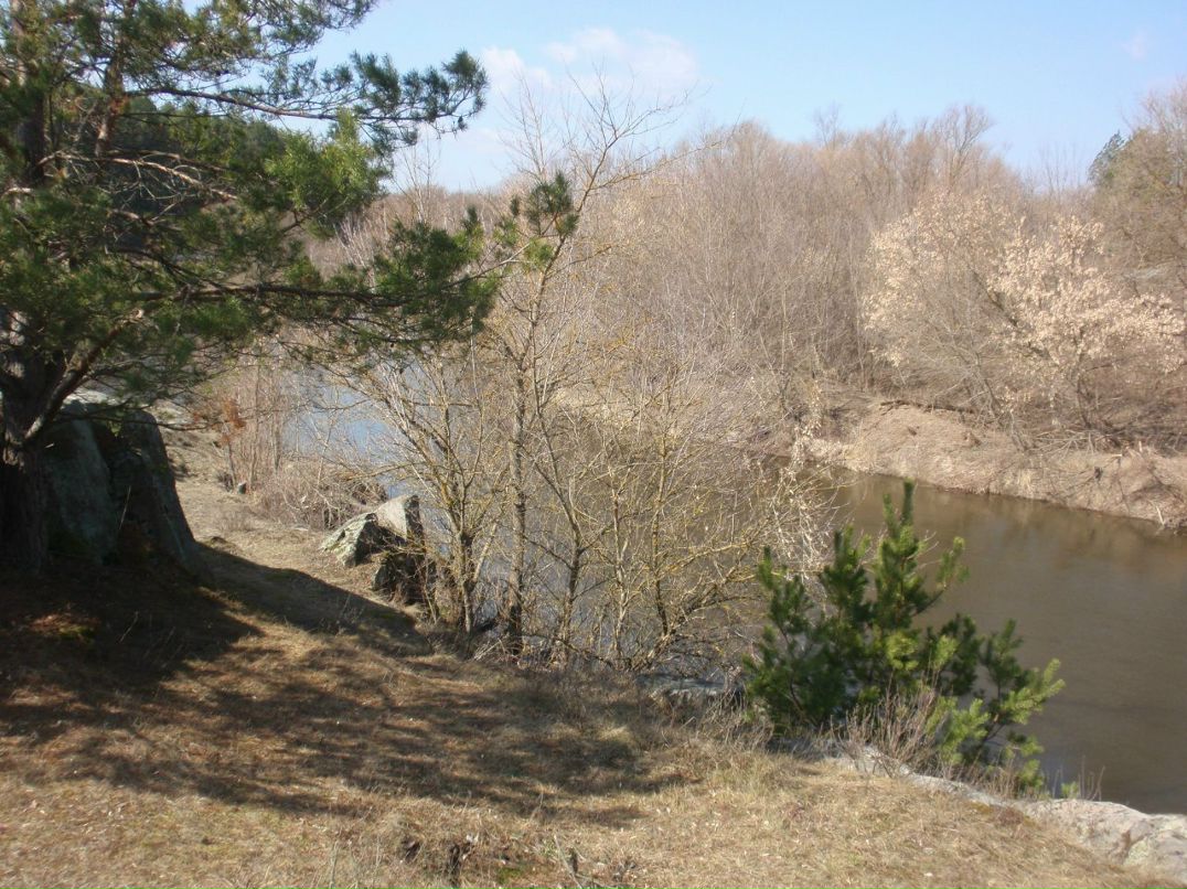 Борис Блаженний | Киев