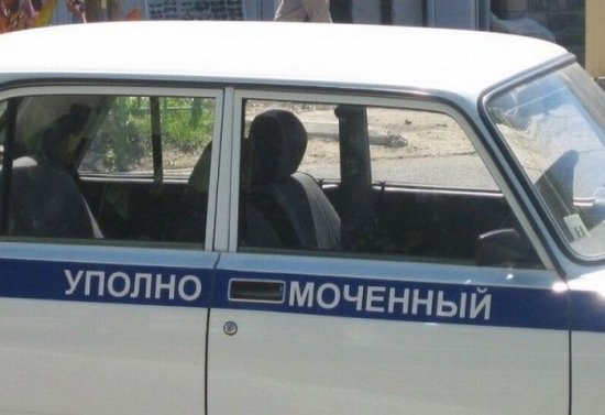 Вова Привалов | 