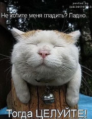 Анна Иванова | Тверь