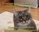 Фотография Перехрестюк Розалии