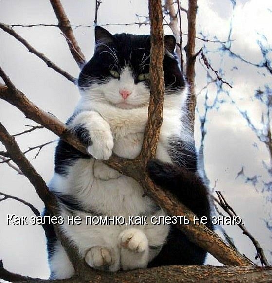 Мария Моисейчева | Киев