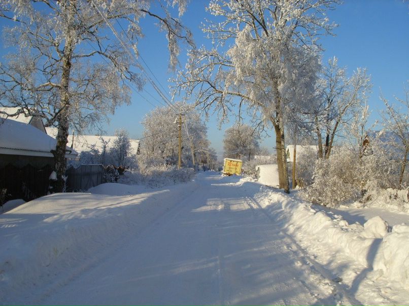 Марина Журавлева | Санкт-Петербург