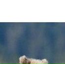 Анастасия Подвиженко | Москва