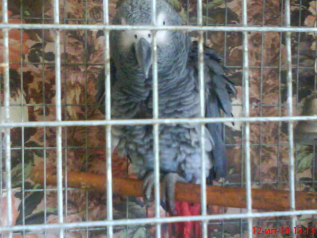 Марина Казбек | Печоры