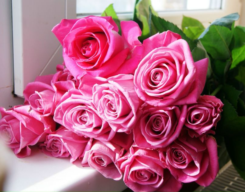 Екатерина Казакова | Дмитров