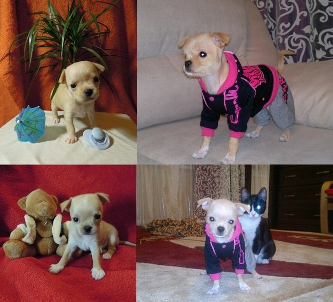 Светлана Алексеева | Санкт-Петербург