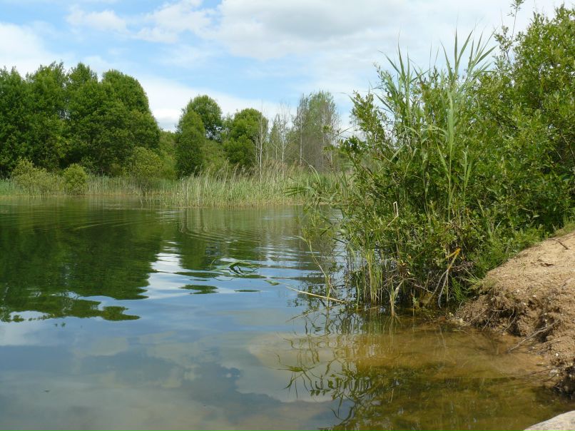 Вероника Стук(Метла) | Минск