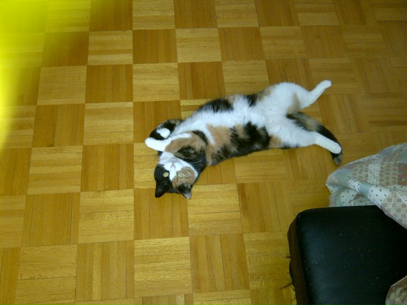 Анна Каган | Ra'anana