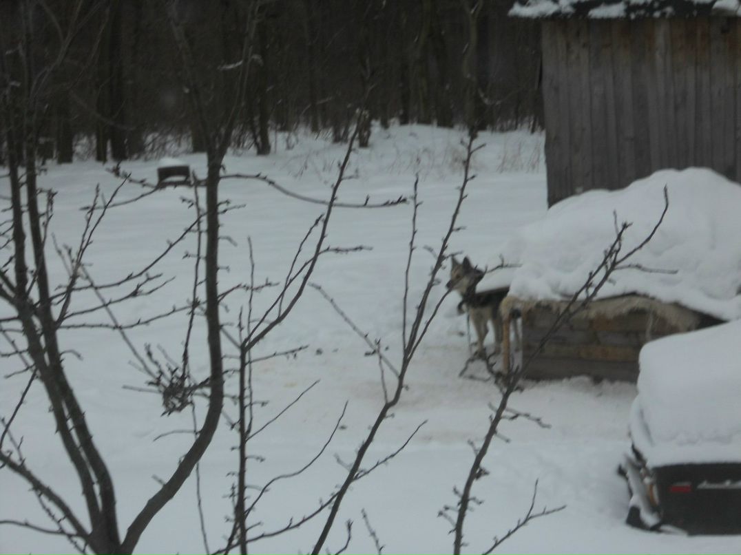 Александр Удалов | Дуденево